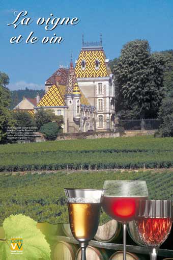 La vigne et le vin.jpg